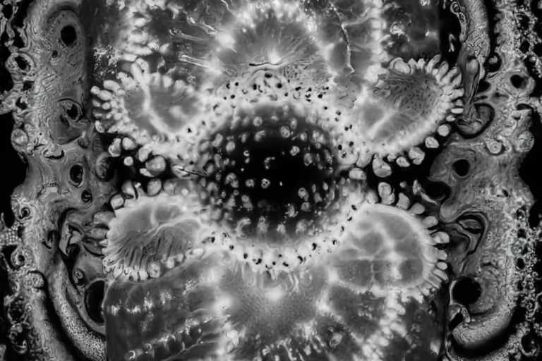 craiyon_224130_Black_and_white_dmt_orb_with_tentacles